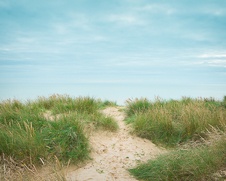Wall art photo of sand dunes at Camber Sands overlooking the ocean