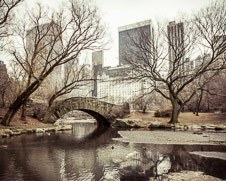 Home Decor photo of a the Gapstow Bridge in Central Park, New York